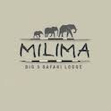 View Milima Safari Lodge