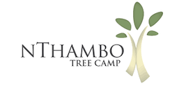 View nThambo Tree Camp